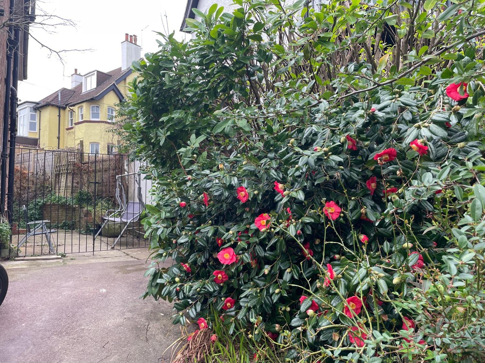 Livadia House At St Leonards On Sea Panzió Kültér fotó